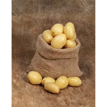 potato (2)-659930-9105.webp
